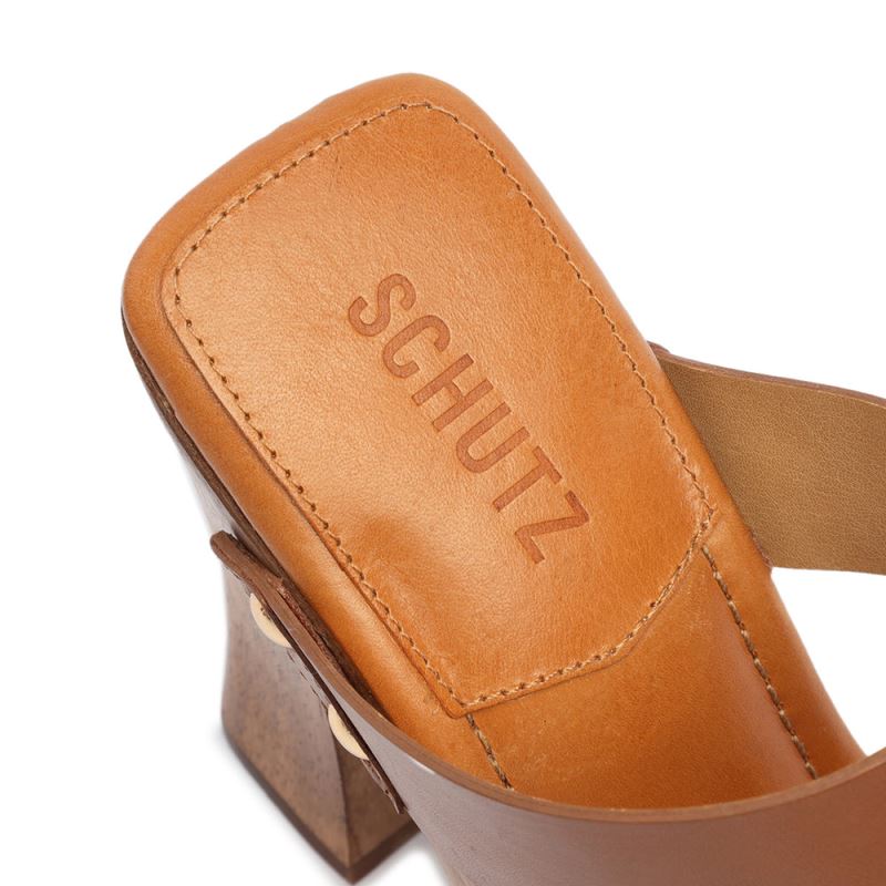 Schutz Aryana δερματινα Sandal βαθυ Μπεζ | Sj4r9N4